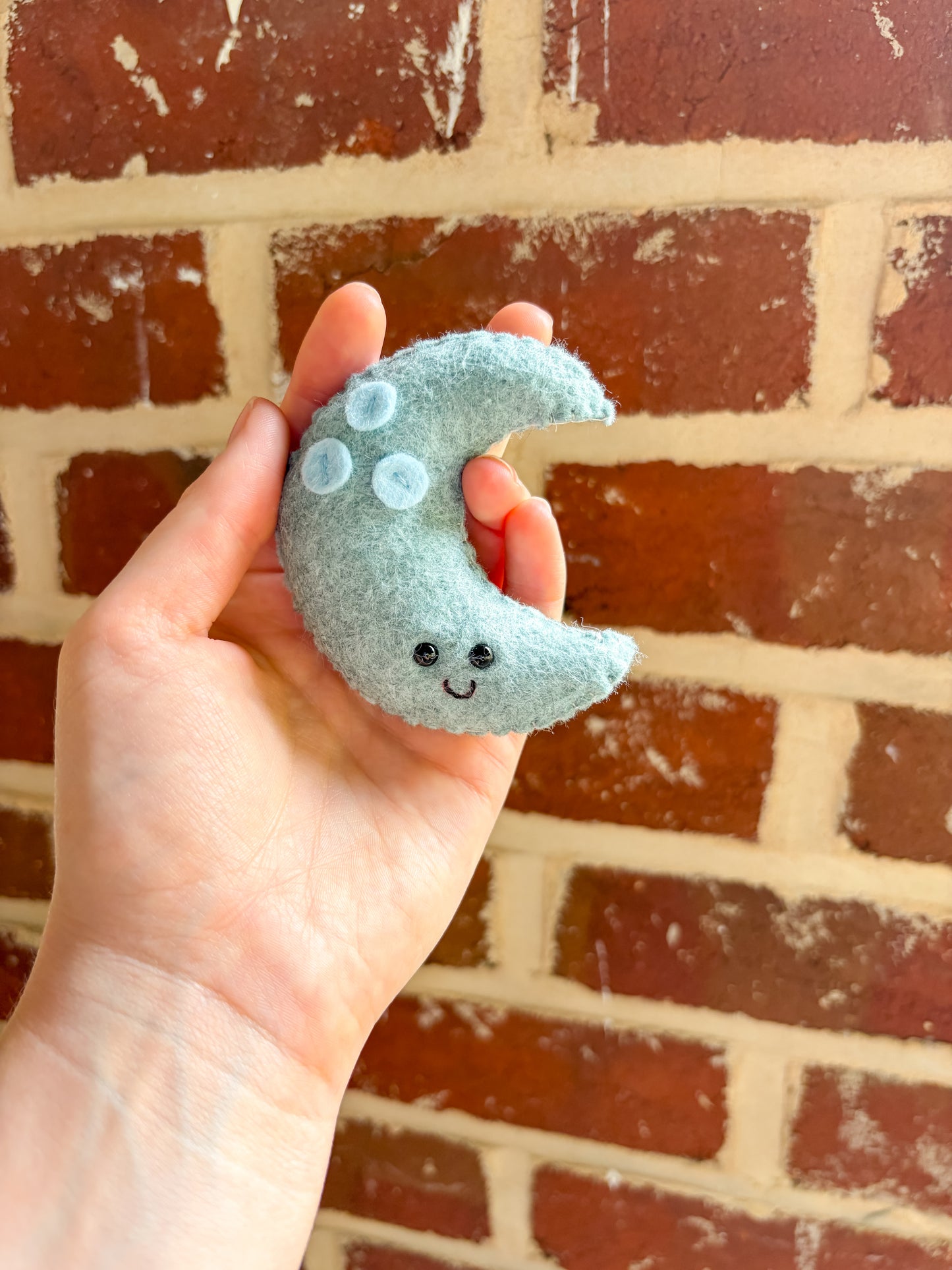 Felt Pal